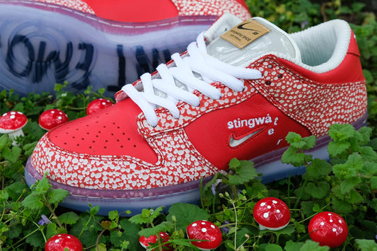 Nike SB Stingwater QS Dunk