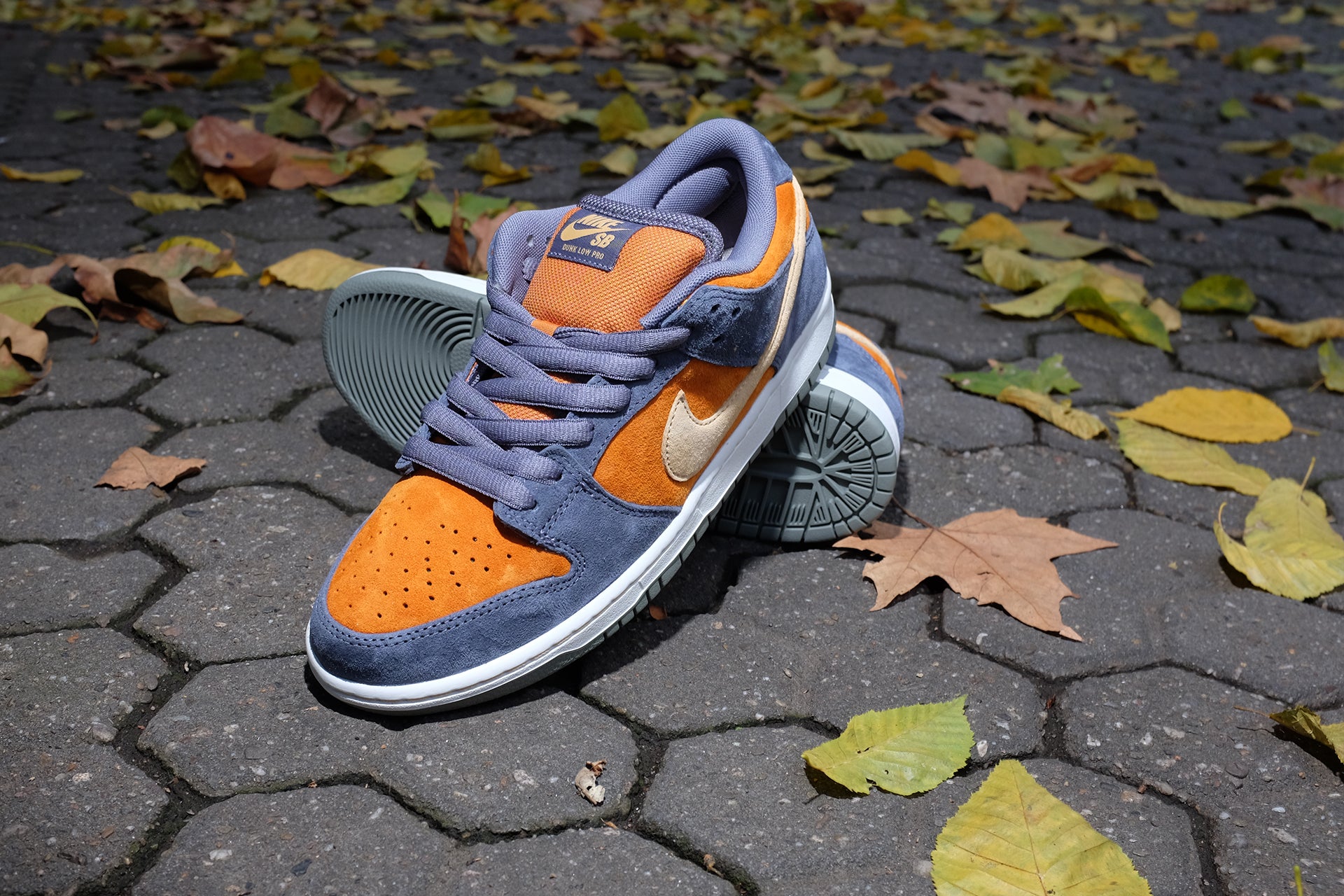 Nike SB Dunk Low light Carbon